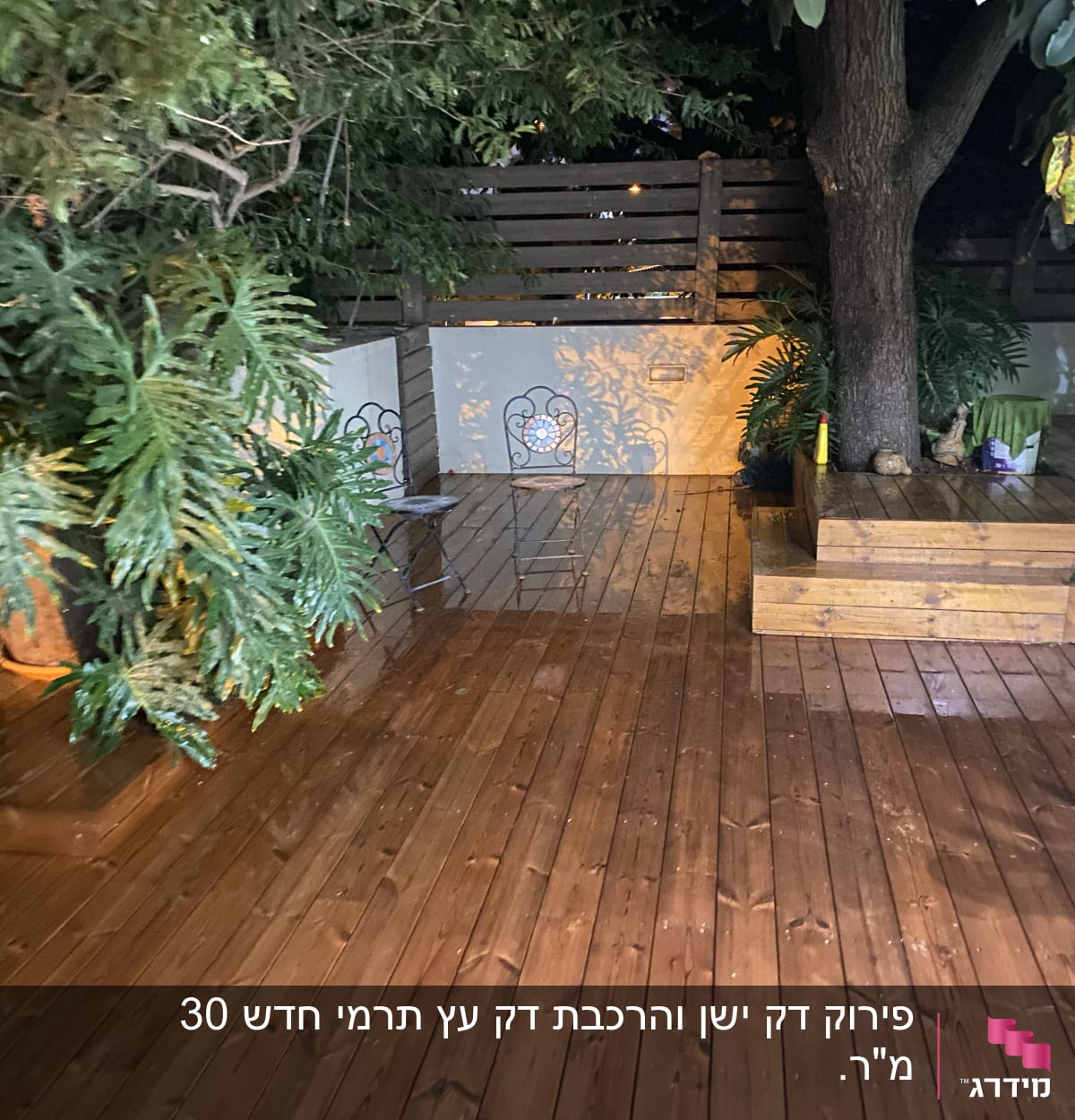דק עץ רטוב עם עציצים ועץ גדול